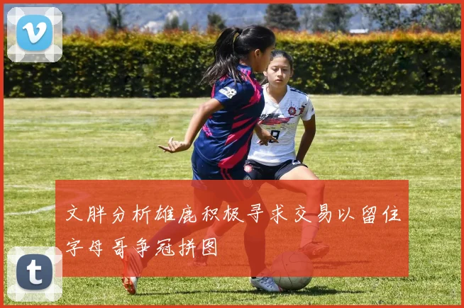 文胖分析雄鹿积极寻求交易以留住字母哥争冠拼图