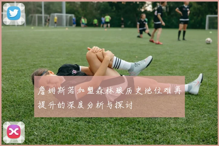 詹姆斯若加盟森林狼历史地位难再提升的深度分析与探讨